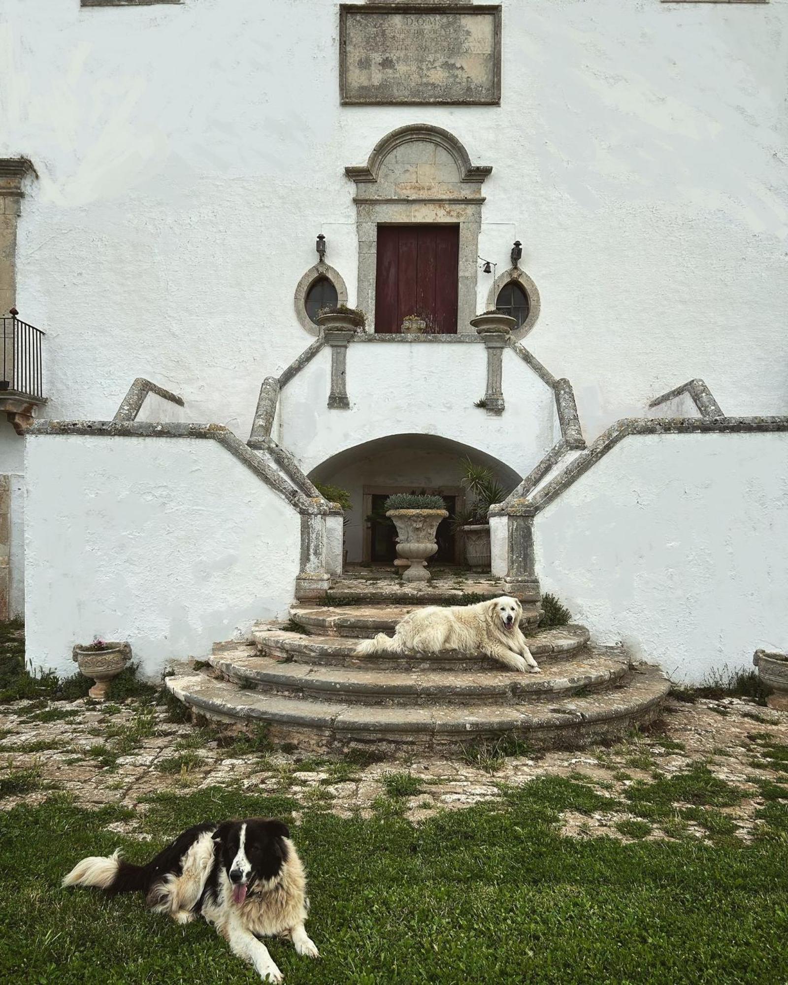 Masseria Murgia Albanese Noci Extérieur photo