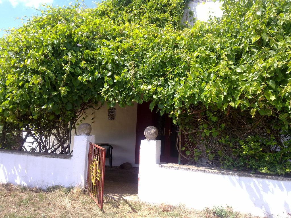 Masseria Murgia Albanese Noci Extérieur photo