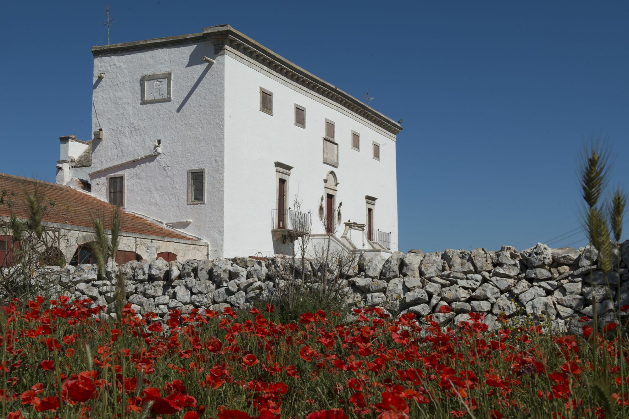 Masseria Murgia Albanese Noci Extérieur photo